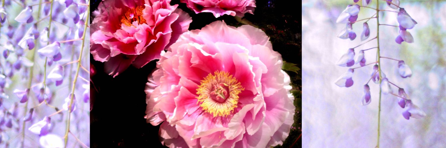 yasai32's profile banner image