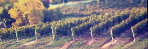 csimmonsart's profile banner image