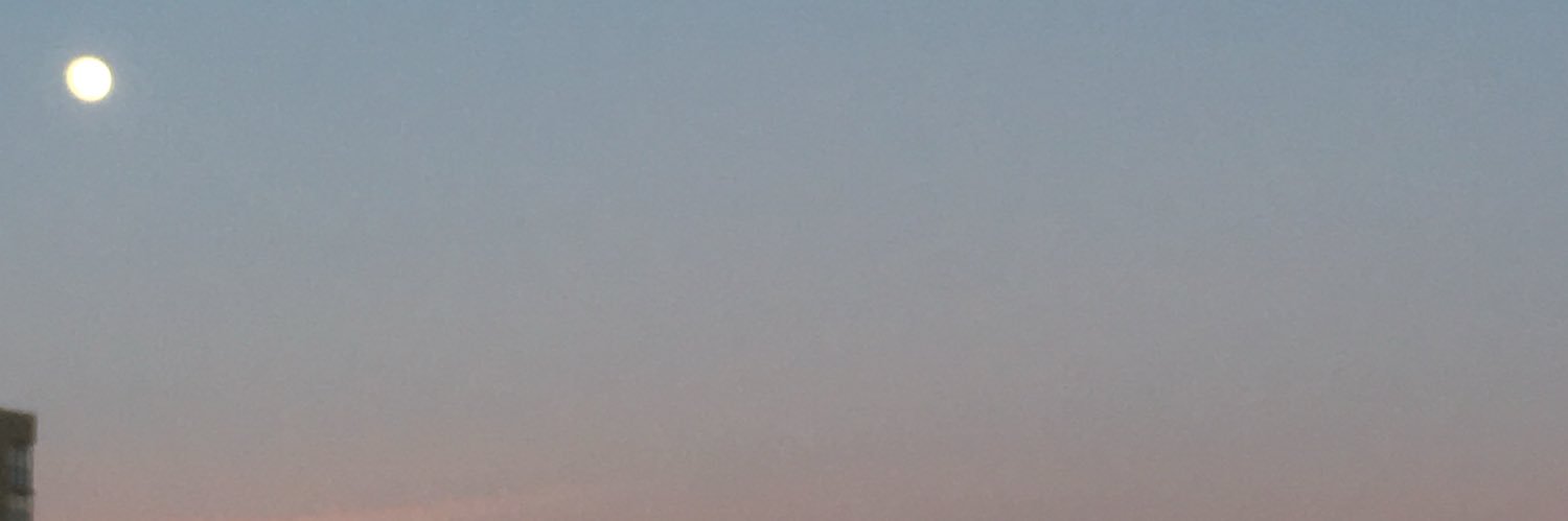 leeeetoo's profile banner image