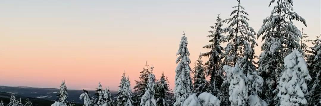 Jessbya's profile banner image