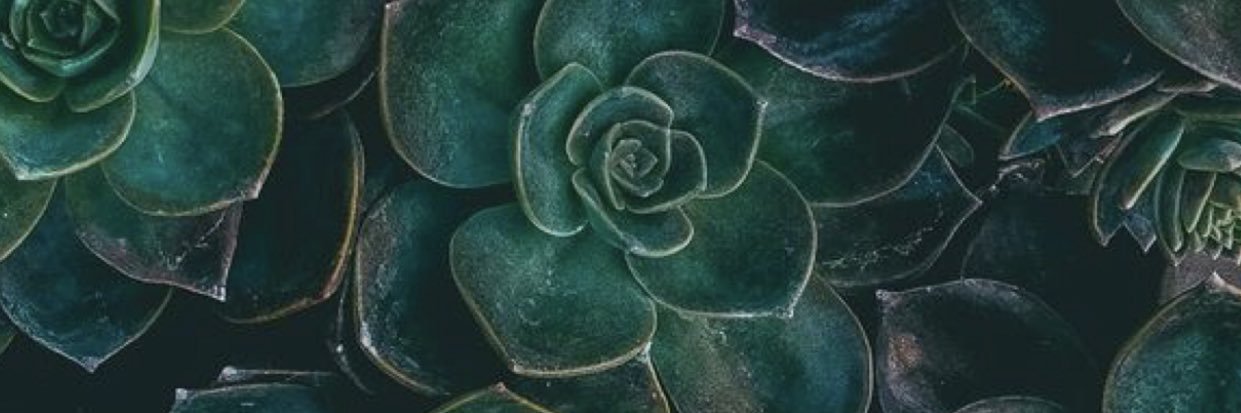 ʜ ᴀ n ᴀ n banner