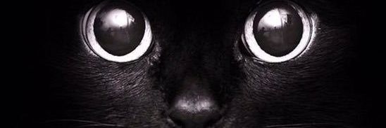 AtiraaFiruz's profile banner image