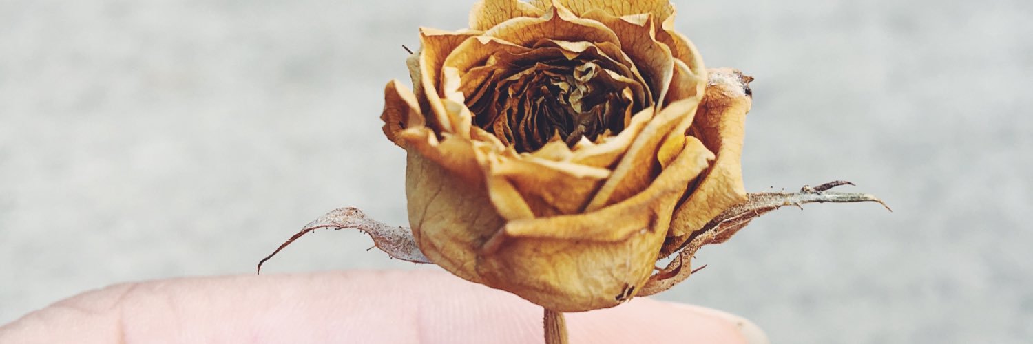 mrsbrainard's profile banner image