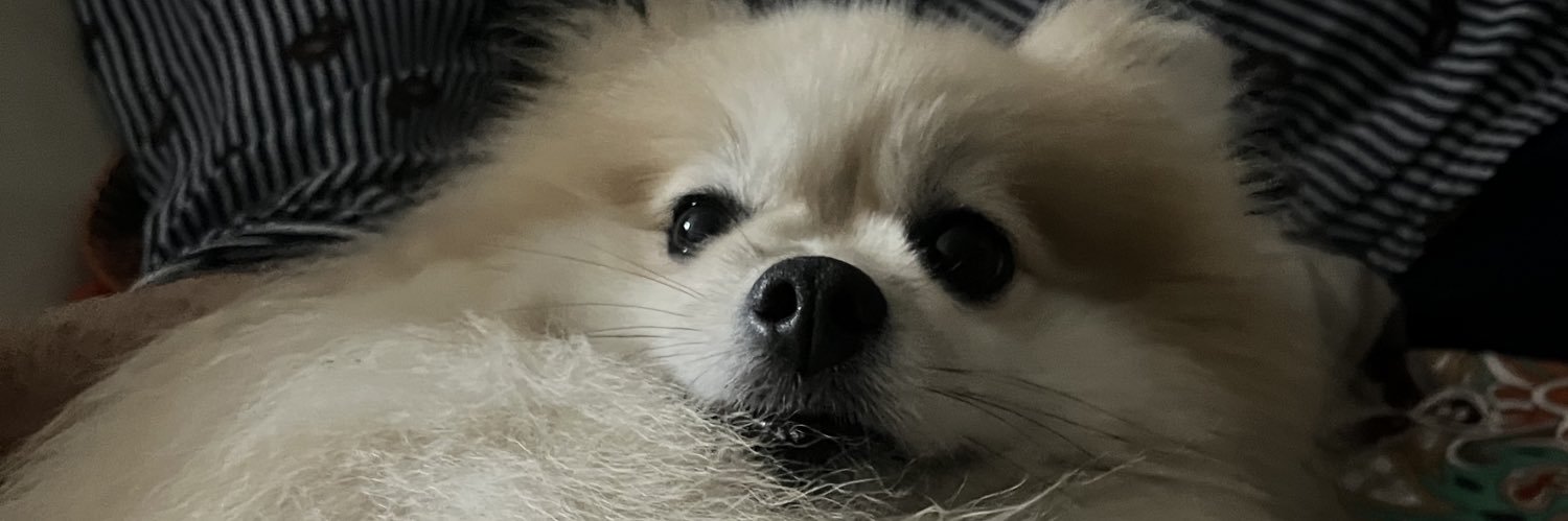 vmadi46's profile banner image