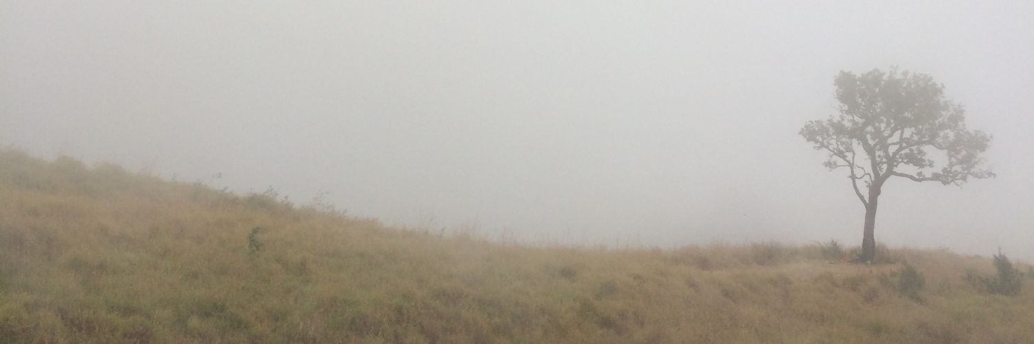 AaronTangkeallo's profile banner image
