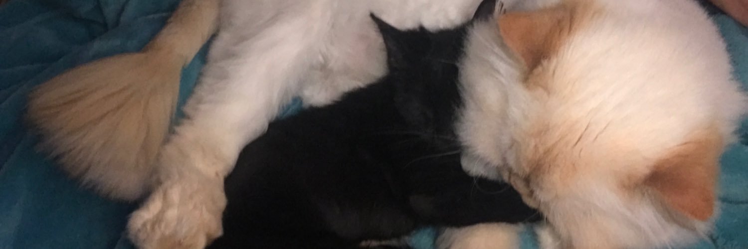 haley_8163's profile banner image
