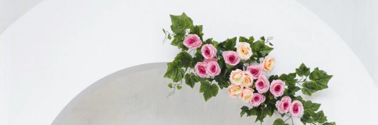 _harina_'s profile banner image
