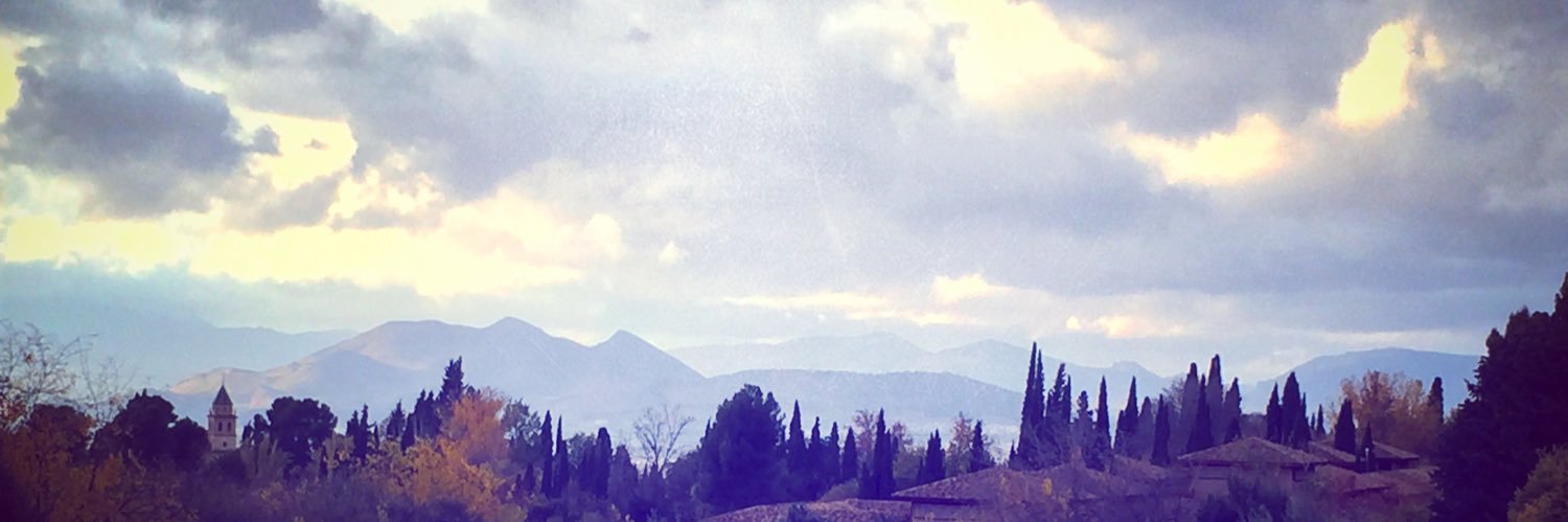 Laura Harling banner