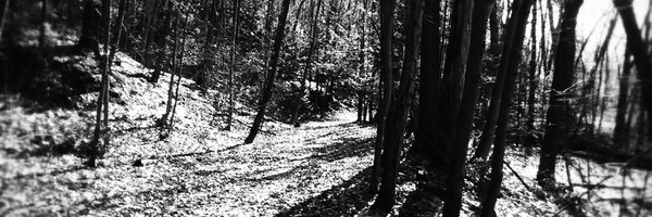 dreamambient Profile Banner