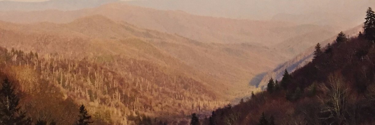 Landongay_'s profile banner image