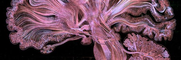 AleLautarescu Profile Banner