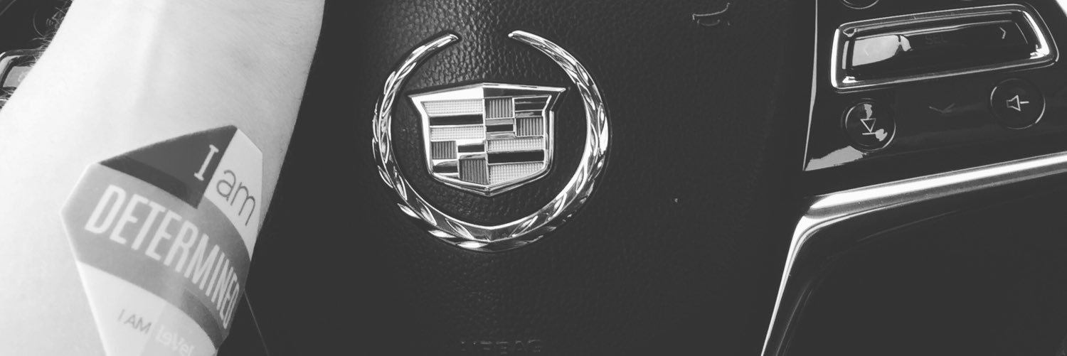 scurryd's profile banner image