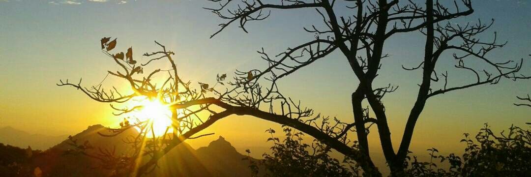 rpkothari's profile banner image