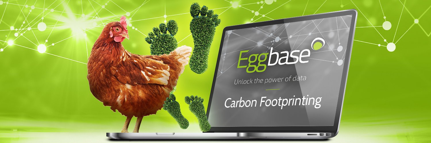 Eggbase banner