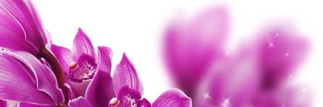 KailSigs's profile banner image