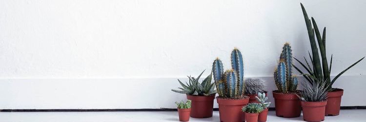 getgivegrow's profile banner image