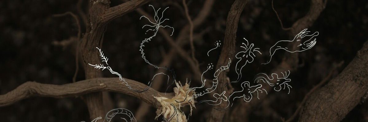 antxi__'s profile banner image