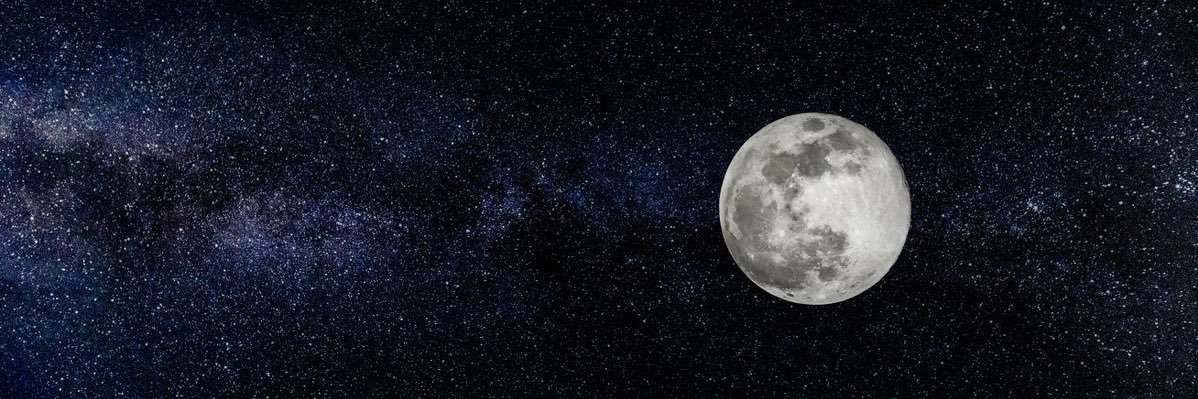 sushicorroll's profile banner image