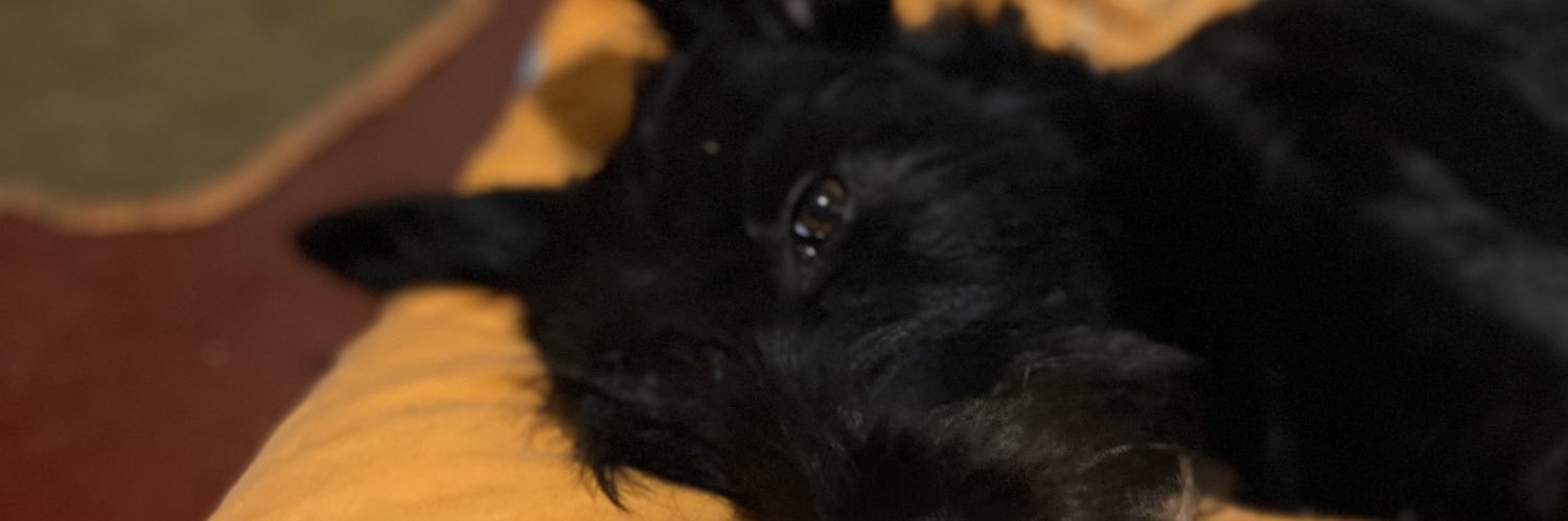 brygthlesz's profile banner image