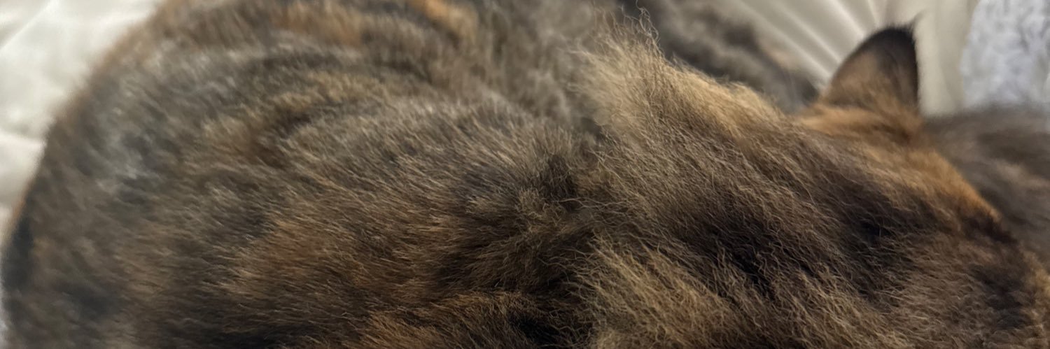 LenottiPeter's profile banner image
