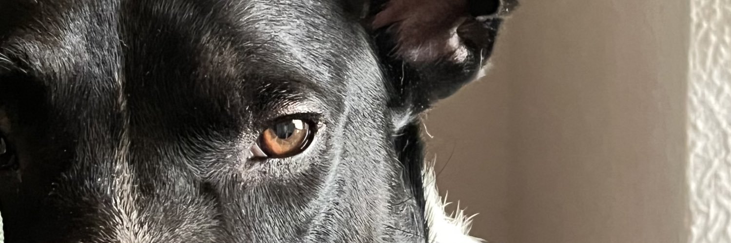 97hugo_'s profile banner image