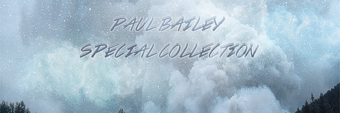 Paul Bailey banner