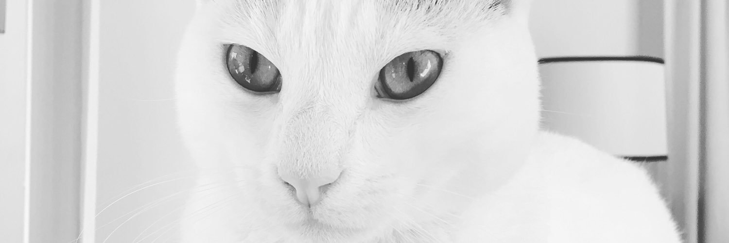 Gerrit Cramer banner