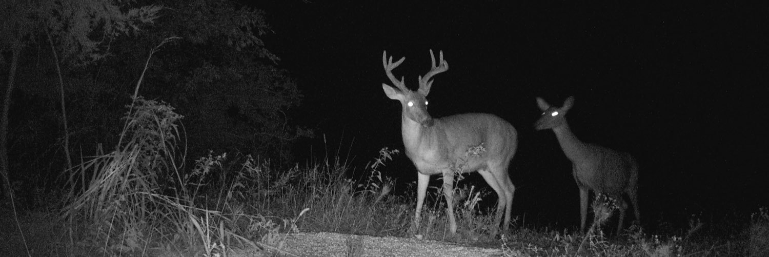 Brian Mo Mosley banner