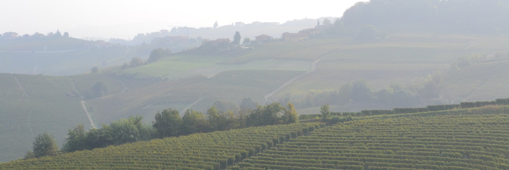 stefano sequino banner