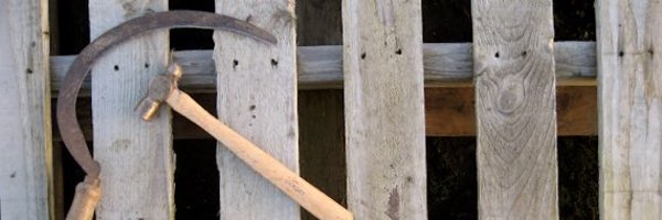 irynalternative Profile Banner