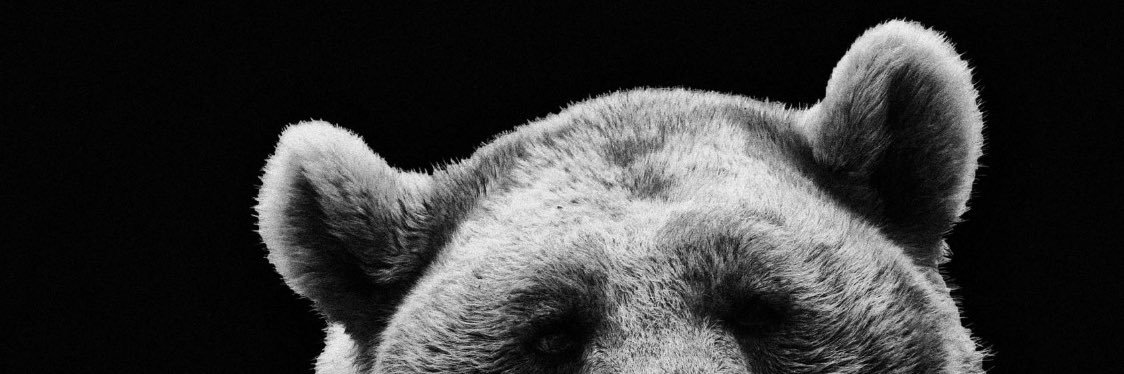 Javi➰ banner