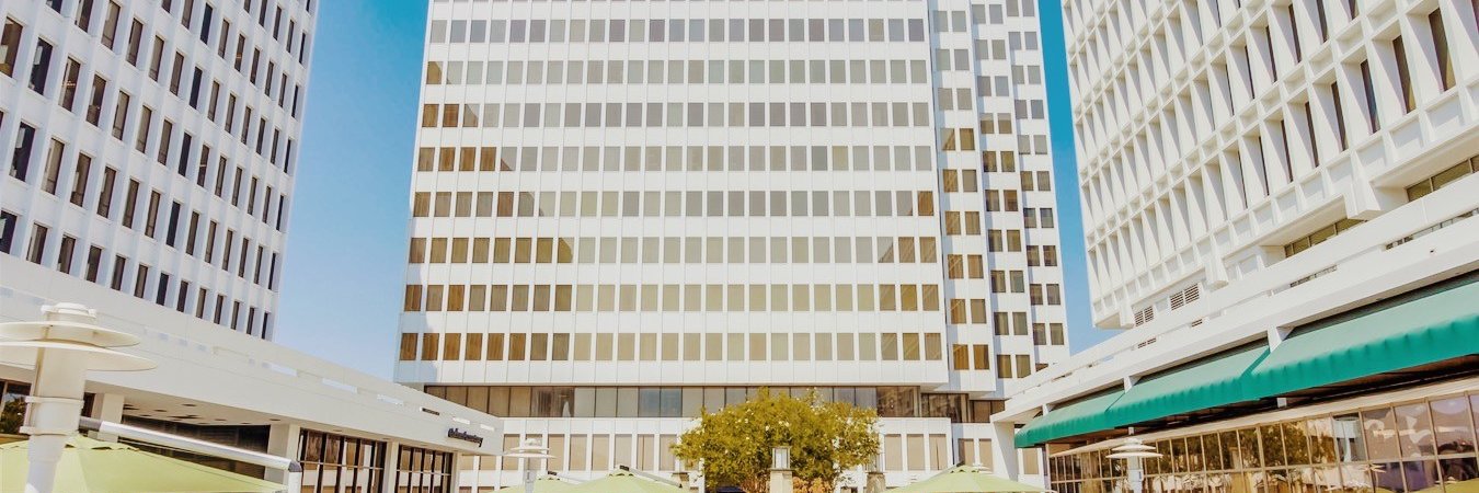 Trinus Corporation banner