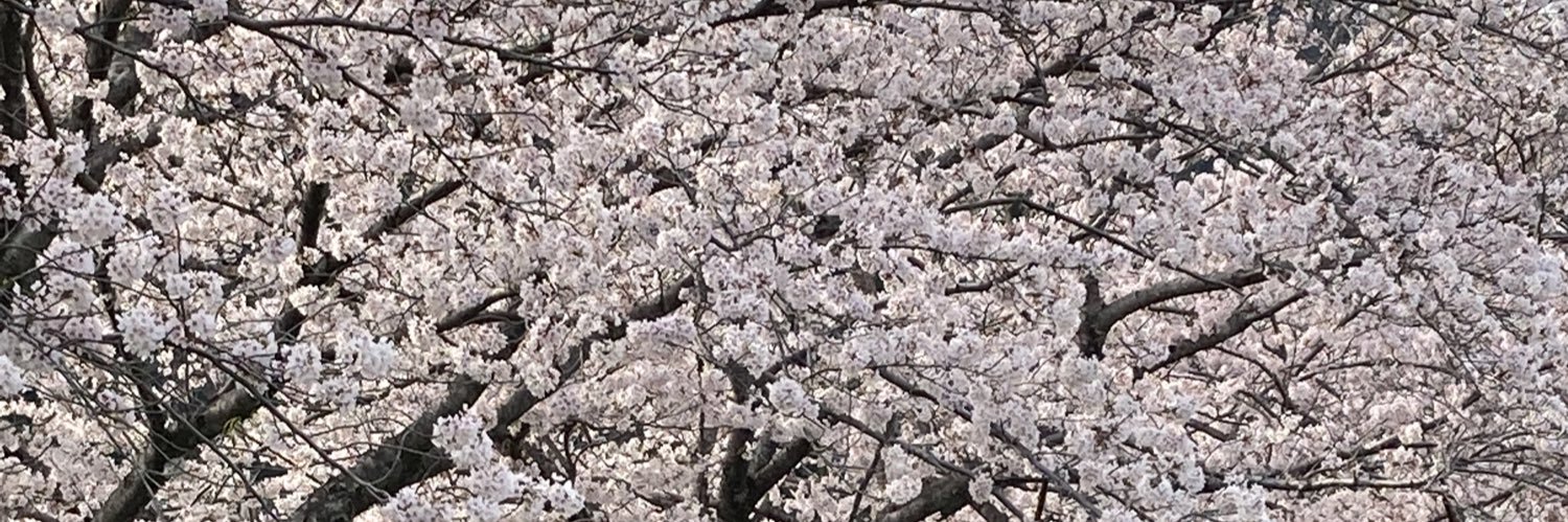 ocha3's profile banner image