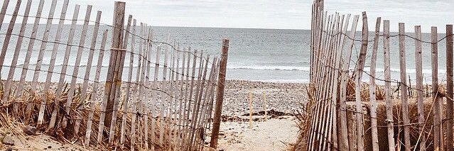 Wendi banner