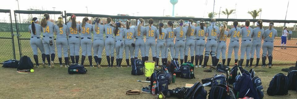 Johnny C Softball banner