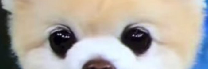 ymmy15's profile banner image