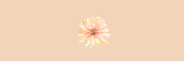 suhocherry's profile banner image