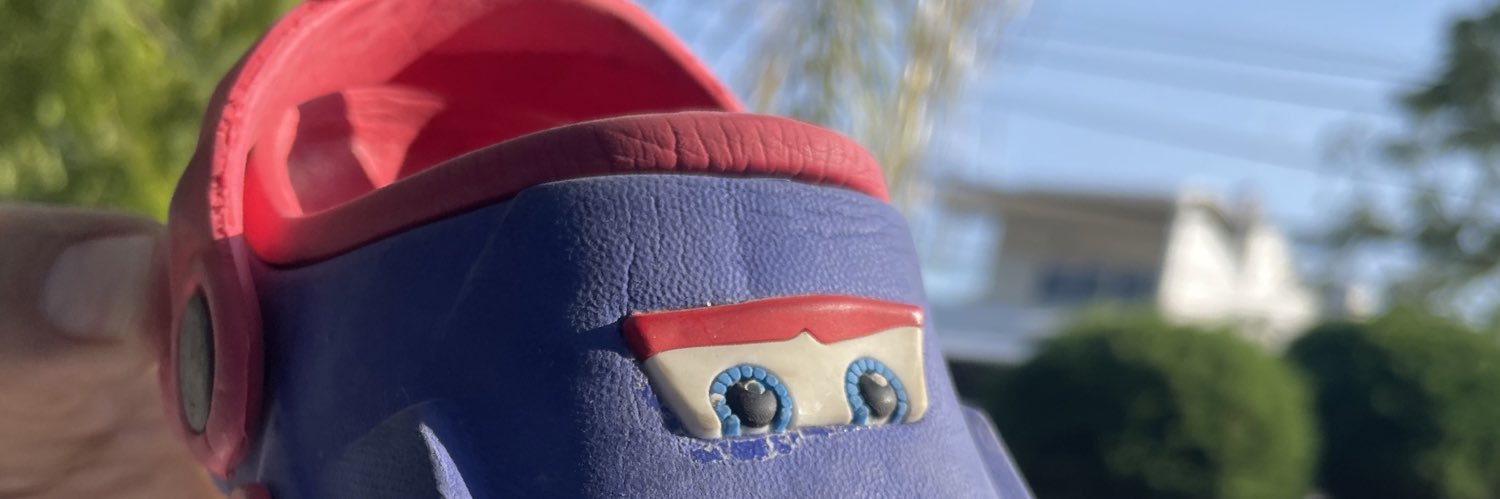 spidydev's profile banner image