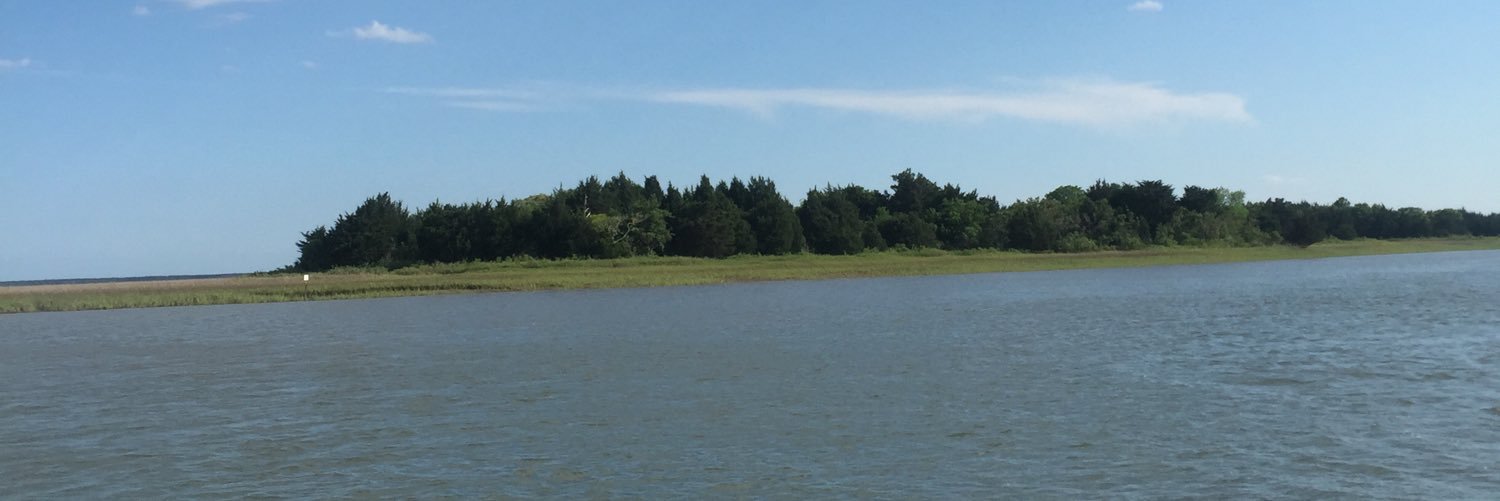 lowcountrydixie's profile banner image