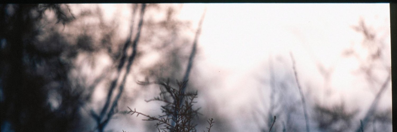 ftlflguy's profile banner image