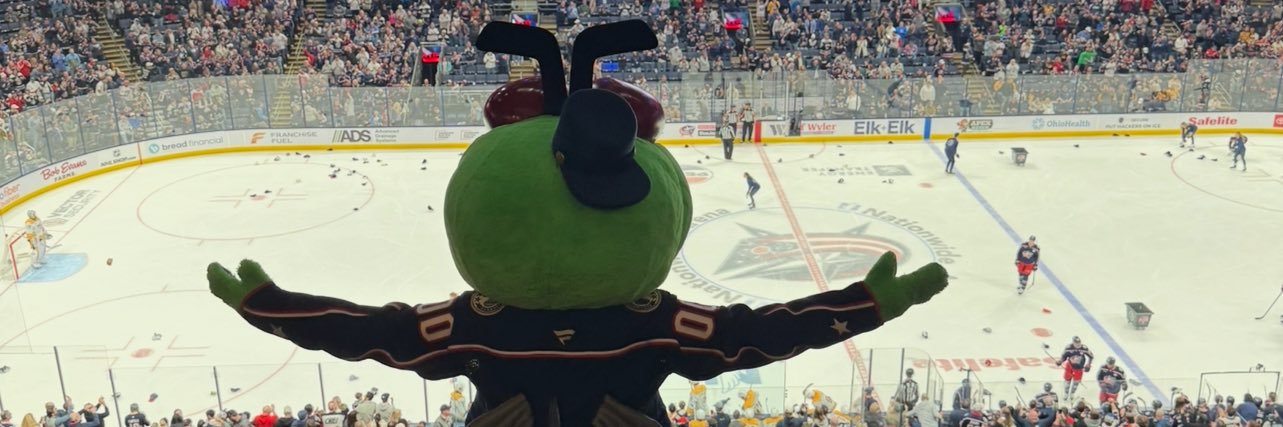 StingerCBJ's profile banner image