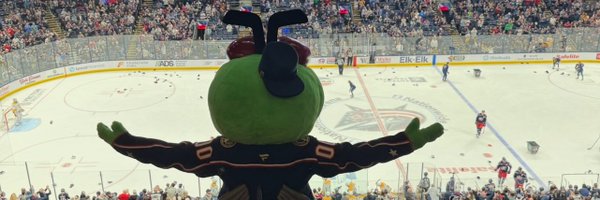 StingerCBJ Profile Banner