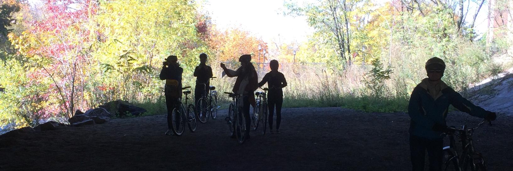 Patrick Herron banner