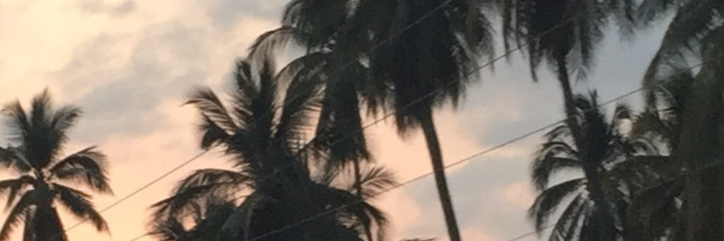 espirily's profile banner image