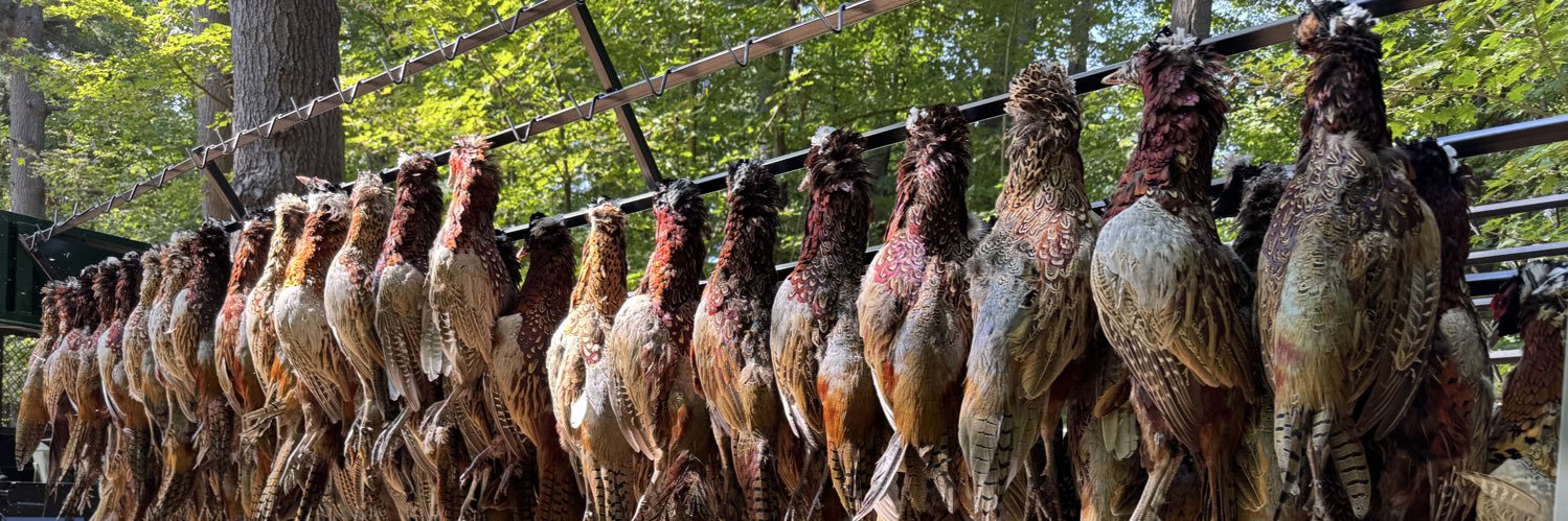 Darren Farber banner