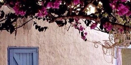 EmmaFD24's profile banner image
