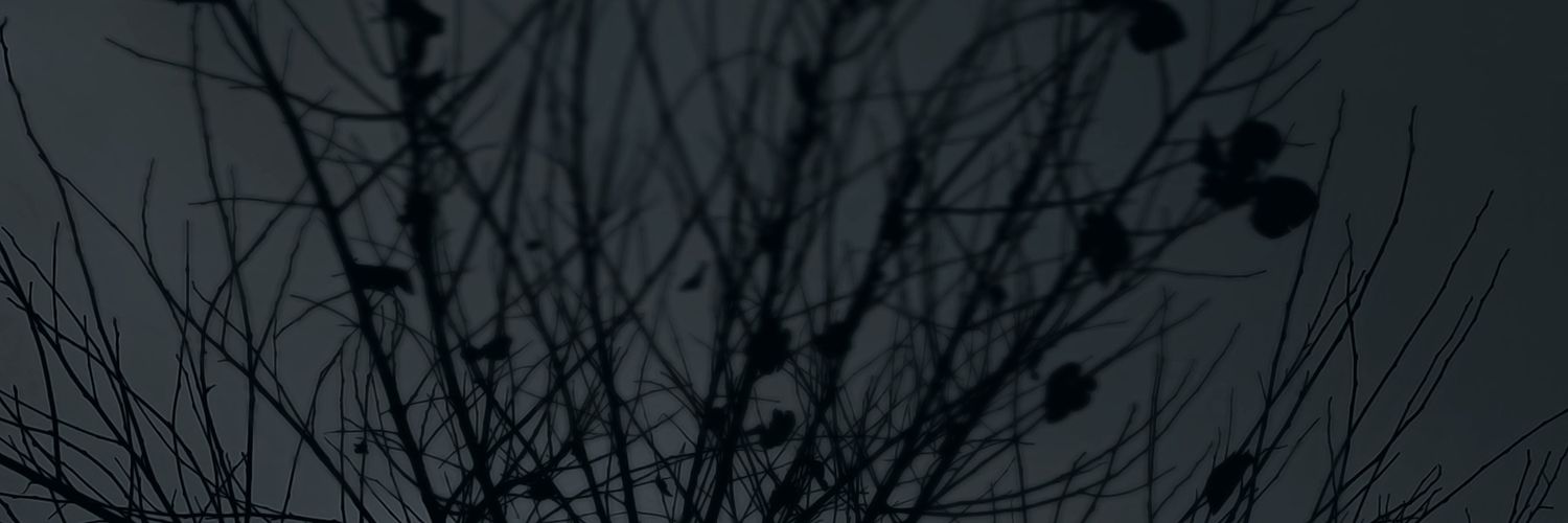 metharsi's profile banner image