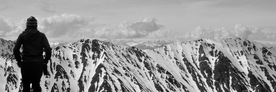 Emily Studd banner