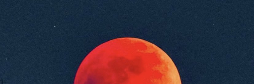 floridafiya's profile banner image
