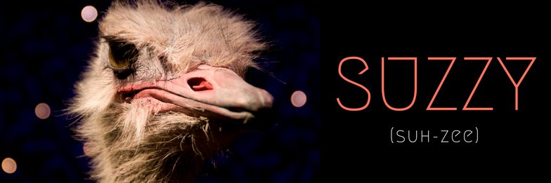 SUZZY banner